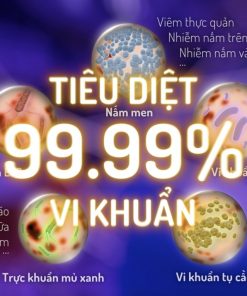 Máy tiệt trùng bằng tia UVC LED KING 2 FB4799BT 16